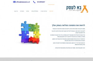 בניית אתרים רואה חשבון