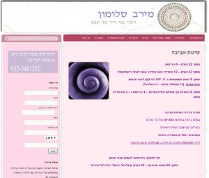 בניית אתר שיטת אביבה מירב סלומון